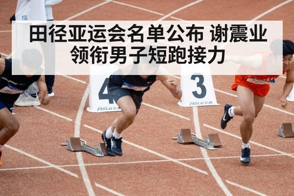 田径亚运会名单公布 谢震业领衔男子短跑接力 - j9 game