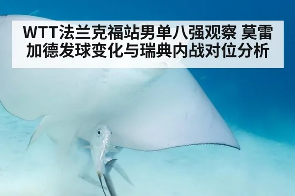 WTT法兰克福站男单八强观察 莫雷加德发球变化与瑞典内战对位分析 - j9 game